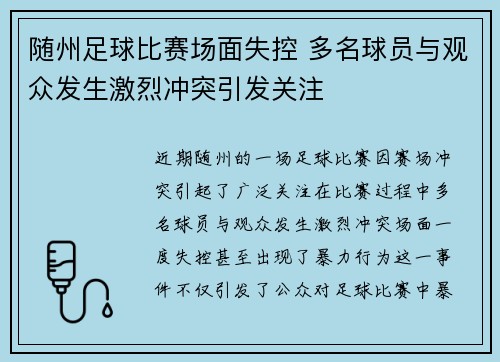 随州足球比赛场面失控 多名球员与观众发生激烈冲突引发关注