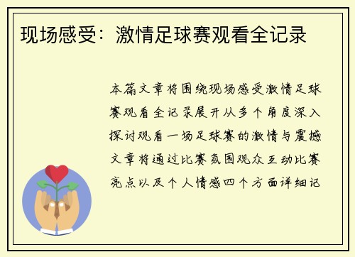 现场感受：激情足球赛观看全记录