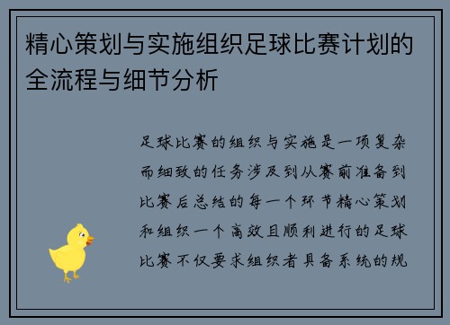 精心策划与实施组织足球比赛计划的全流程与细节分析