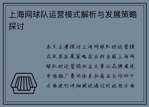 上海网球队运营模式解析与发展策略探讨